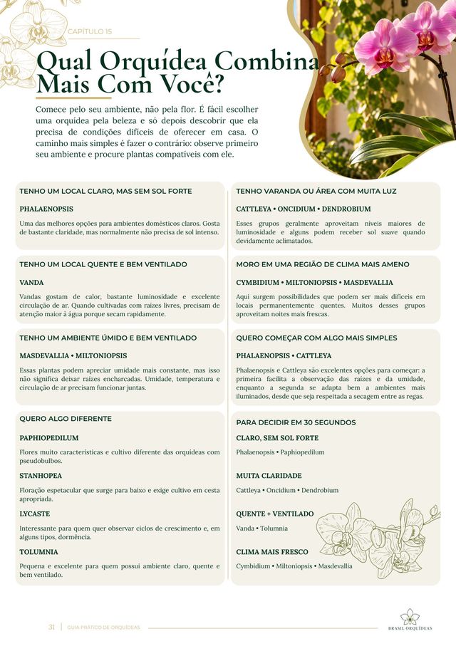 Página Qual Orquídea Combina Mais Com Você